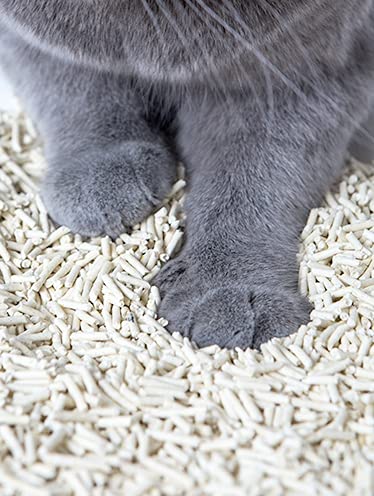 image for Kungfu Cat Kungfu Green Tea Tofu Cat Litter 17.5 Litre, White