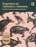 Esqueletos de Animales y Anatomía: Un Archivo de Imágenes para Artistas y Diseñadores