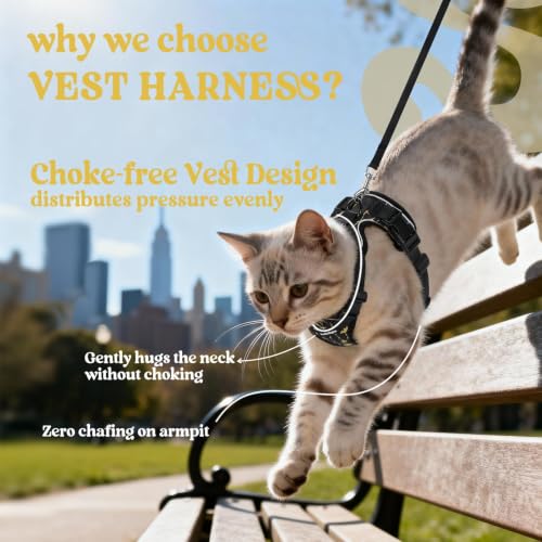 Image of rabbitgoo Cat Harness and Leash Set, Escape Proof Vest, Lunar Prowl | Soft Breathable Mesh, Easy Adjustable Fit, Snap Buckles, Sturdy Clip, Reflective Strips, for Average Cats Walks, S