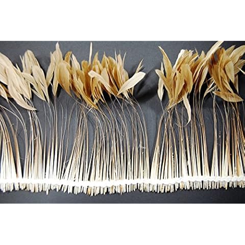 25 pcs Striped Burnt Coque Feather Fringe (8"-12" in Height) for Craft Costume Hat DIY Design (Beige) Cover