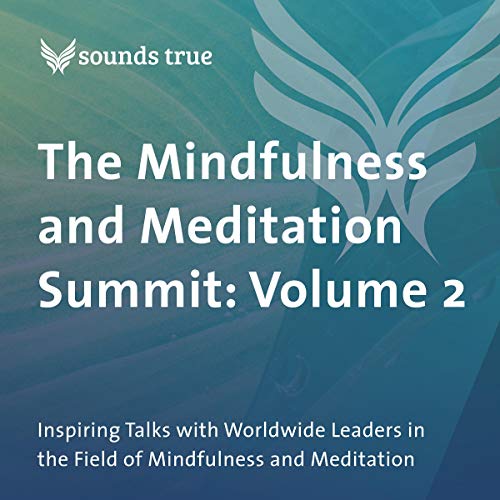 The Mindfulness and Meditation Summit: Volume 2: Inspiring Talks with Worldwide Leaders in the Field of Mindfulness and Meditation