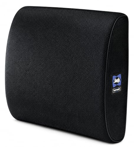 Sealy Lumbar Support Pillow for Office Chair and Car Seat - Lower Back Pain Relief, Memory Foam Lumbar Pillow & Back Brace Support Posture Corrector