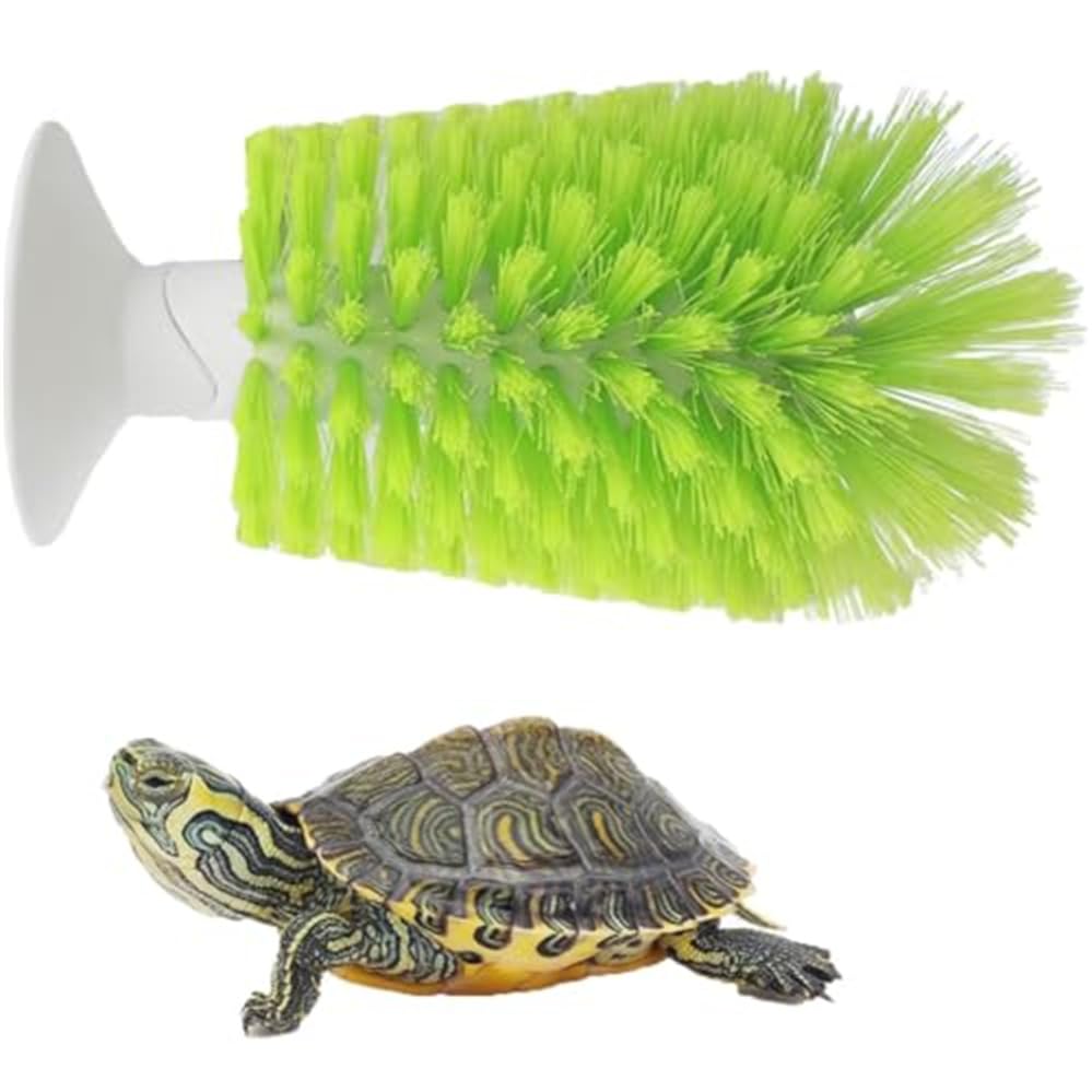 Schildkrötenbürste mit Saugnapf für Tankkratzer, Reinigung von Rücken und Schale, Rotohrenschieber-Peeling, Peeling und Entfernen von Schuppen (grün)