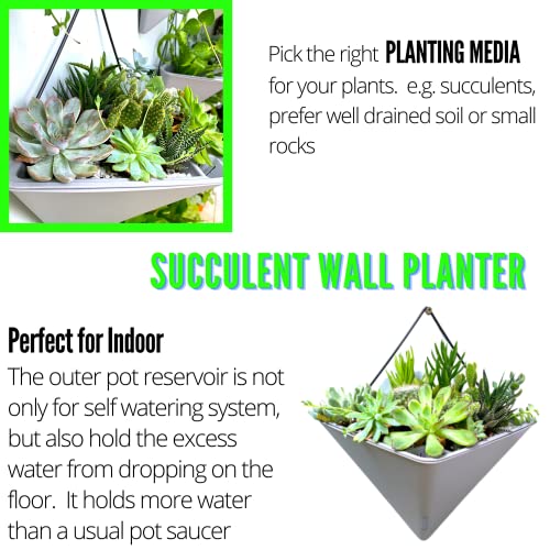 Lalagreen Succulent Wall Planters - 2 Pack, 12 Inch Large Self Watering Wall Hanging Planters For Indoor Plants Gray Wall Mount Triangle Geometric Flower Vase Pot Black Metal Hanger Living Wall Decor #TOP5