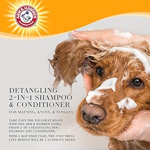Arm & Hammer for Pets Ultra Fresh Dog Shampoos, Dog Conditioner, and Dog Spray from Arm and Hammer - Great Smelling Dog Grooming Supplies, Dog Bathing Supplies, Dog Wash, Puppy Shampoo, Pet Shampoo Arm & Hammer for Pets Ultra Fresh Dog Shampoos, Dog Conditioner, and Dog Spray from Arm and Hammer – Great Smelling Dog Grooming Supplies, Dog Bathing Supplies, Dog Wash, Puppy Shampoo, Pet Shampoo