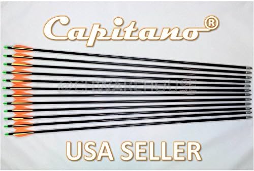 Capitano 26-Inch Archery Fiberglass Target Practice Arrow Replaceable Screw-in Tips with Nocks and Fletches, 66CM (1/2 Dozen)
