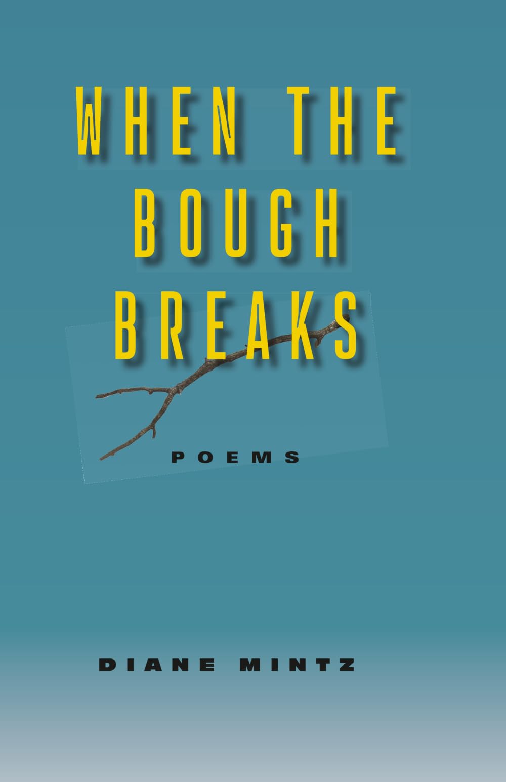 When the Bough Breaks: Poems
