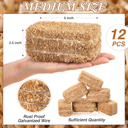 Maasechs 12 Pcs Mini Hay Bales Miniature Straw Bales,5 x 2.5 x 2.5 Inch by Maasechs - Used condition - Image 2
