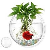 iplusmile Wandfischschalen: 9inch Aquarium Becken Acryl Aquarium-Fischschale zum Aufhängen für Wasserpflanzen Blumentopf, Wanddekoration, hängende Fischschale