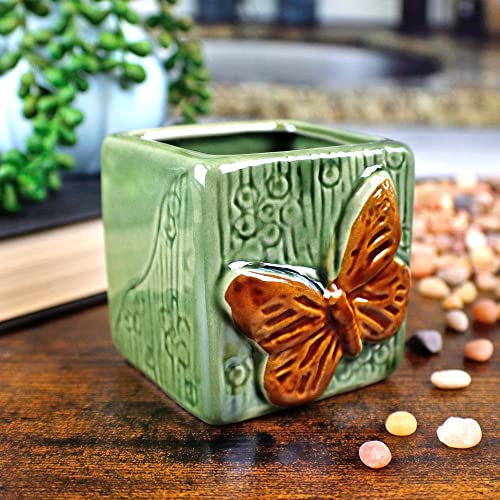 Live Lucky Bamboo 3 Stalk Arrangement In Green Ceramic Butterfly Planter - 6 Inch Lucky Bamboo Indoor Potted House Plants For Home And Office Decor #TOP2