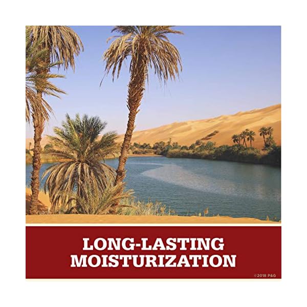 Old-Spice-Body-Wash-for-Men-Moisturize-with-Shea-Butter-Scent-16-Fl-Oz-Pack-of-4 Old Spice Body Wash for Men, Moisturize with Shea Butter Scent, 16 Fl Oz (Pack of 4)