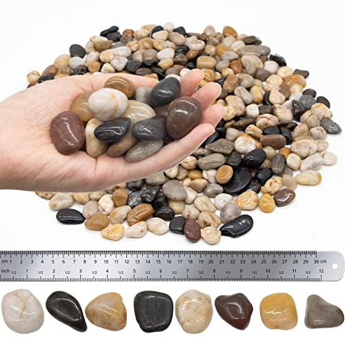 2Lb River Rocks 1/2-1In, Decorative Polished Pebbles, Fish Tank Aquarium Gravel, Natural Colors Stones For Bamboo Plants, Flower Pots, Vase Fillers, Indoor Water Fountains, Landscaping, Vase Fillers #TOP1
