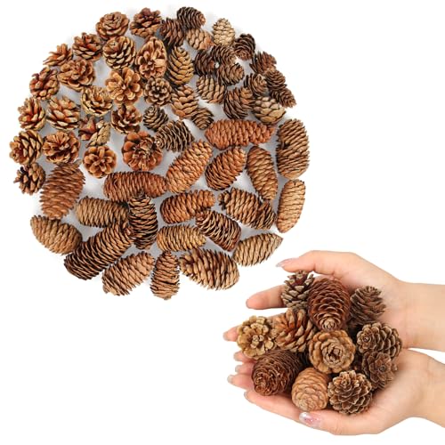 60 Pcs Large Natural Pine Cones for Crafts, 3 Kinds of Pine Cones....