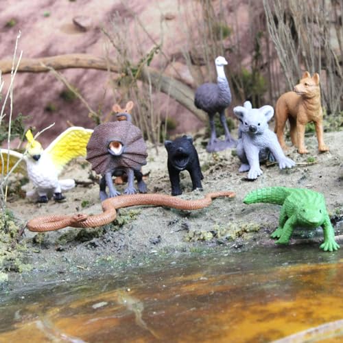 Safari Ltd. Land Down Under TOOB - 11 Figurines of Australian Animals - Educational Toy Figures For Boys, Girls, and Kids Ages 3+