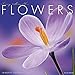 Flowers 2019 Wall Calendar