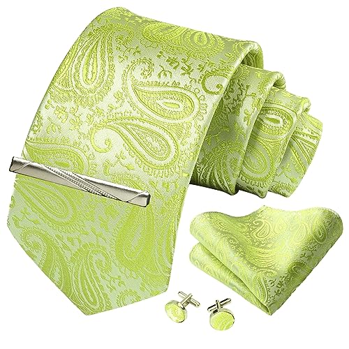 Image of Paisley Floral Mens Tie Formal Necktie Pocket Squares Ties Clips Cufflinks Classic for Men Set