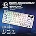 ASUS ROG Azoth Wireless Mechanical Gaming Keyboard – 75% TKL, Tri-Mode Connectivity, Hot Swappable Pre-lubed ROG NX Brown Switches, PBT Keycaps, RGB, OLED Display, PC/Mac Support - White