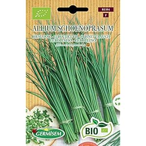 Germisem ECBIO1104 Organisch Allium Schoenopasum Bieslook Zaden 2 g