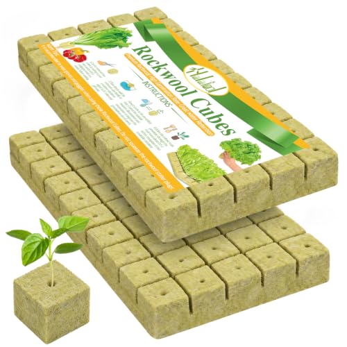 Halatool one inch rockwool cubes for starting hydroponic seeds in an apartment
