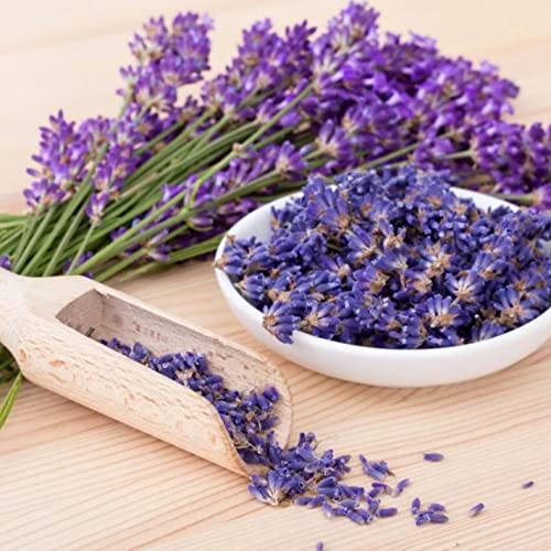 5000+ Rare Lavender Flower Seeds For Planting #TOP6