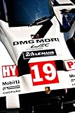 Neuf imprimé sur commande Porsche 919 hybride Photo de 30,5 x 45,7 cm Impression photographique d\'une Porsche 919 Hybrid No19 sur Show au 24 heures du Mans 2017 France Portrait Photo