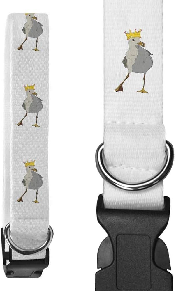 Large 'Dancing Queen Seagull ' Dog Collar (PR00053484)