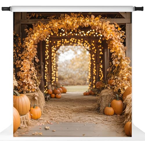 Toile de fond d'automne érable Kate 3x3m grand format grand angle