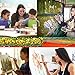 18Pack Oil Paint Brushes Sets Professional Artist Acrylic Brush Kits for Canvas Painting Ceramic - 15 Sizes Brush 1 Standing Organizer 1 Mixing Knife 1 Watercolor Sponge Gray