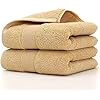 Lchkrep Bathroom Hand Towels 14x30 inch, Home Soft Cotton Super Soft Highly Absorbent Hand Towels for Bath, Hand, Face, Gym and Spa Beige