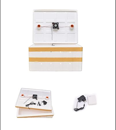 SRI SELVANAYAKI Generic egg incubator auto temperature with indication with cap