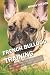 FRENCH BULLDOG TRAINING: All the tips you need for a well-trained French Bulldog
