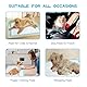 Nanipets® Trainingspad für Hunde Welpenunterlagen, Superabsorbierendes & Auslaufsichere Wickelunterlagen, 60 x 90 cm Extra Große, Dicke Pet Pads, 20 Stück