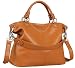 Heshe Women's Shoulder Handbag Top-handle Bag Cross Body Purse Satchel (Brown-H)