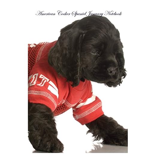 American Cocker Spaniel January Notebook American Cocker Spaniel Record, Log, Diary, Special Memories, To Do List, Academic Notepad, Scrapbook & More