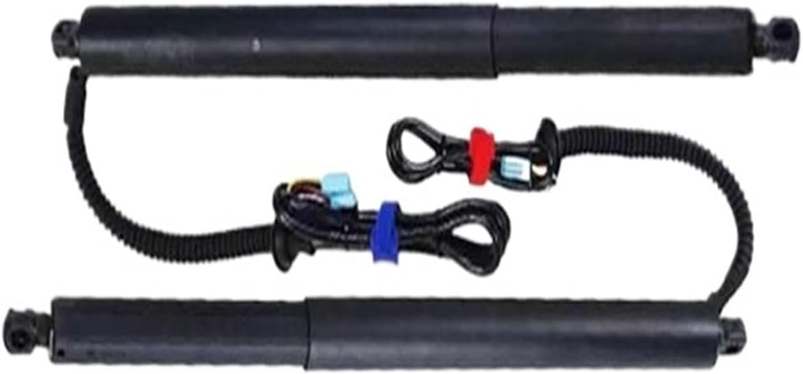 Power Tailgate Rear Fit for Everest 2020 Car Power Trunk Lift Electric Hatch Tailgate Tail Gate Strut Rear Door Actuator Electric Tailgate Kick Sensor(with Kick Sensor)