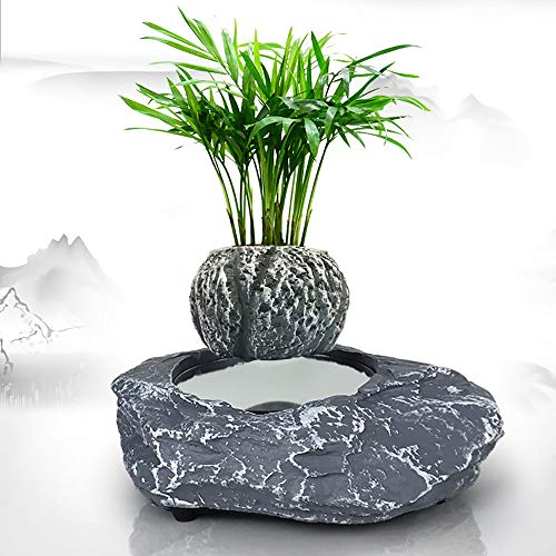 Maceta De Bonsai De Aire De LevitacióN MagnéTica, DecoracióN De Esc