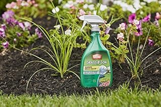 Ortho 0438580 Grass B Gon Garden Grass Killer Ready-to-Use, 24-Ounce (2 Pack)