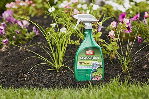 image for Ortho 0438580 Grass B Gon Garden Grass Killer Ready-to-Use, 24-Ounce (