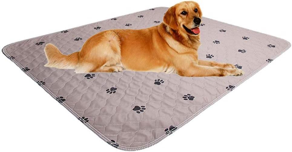 Image of Generic Washable Puppy Pads - 2 Pack Reusable, Large Super Absorbing Whelping Pads - Waterproof for Dog Bed Mat, Gray