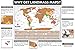 Landmass Scratch Off World Map, Poster with Flags, Deluxe Travel Tracker Print, Unique Wall Art for Home or Office, Ideal Gift Idea for Travelers and Adventure Lovers, 27x14 Inches