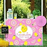 Windkream 45' x 31' Lemonade Tablecloth for Lemonade Stand Supplies Lemon Table Cover for Kids Lemon Party Supplies Summer Beach Picnic Birthday Party Decorations(Pink)