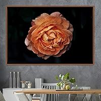 Framed Canvas Wall Art Rose Bohemian Dark Dramatic Floral Multicolor Petal Photography Portrait - 16x24 inches