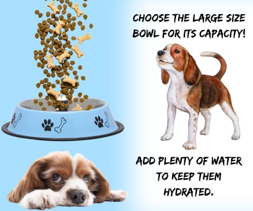 Foodie-Puppies-Stainless-Steel-Paw-Bone-Printed-Bowl-for-Dogs-Cats-Any-Pets-700ml-Medium-Sky-Blue-I-Non-Skid-Rubber-Bottom-FoodWater-Bowl-I-Non-Toxic-100-Safe-for-Pets