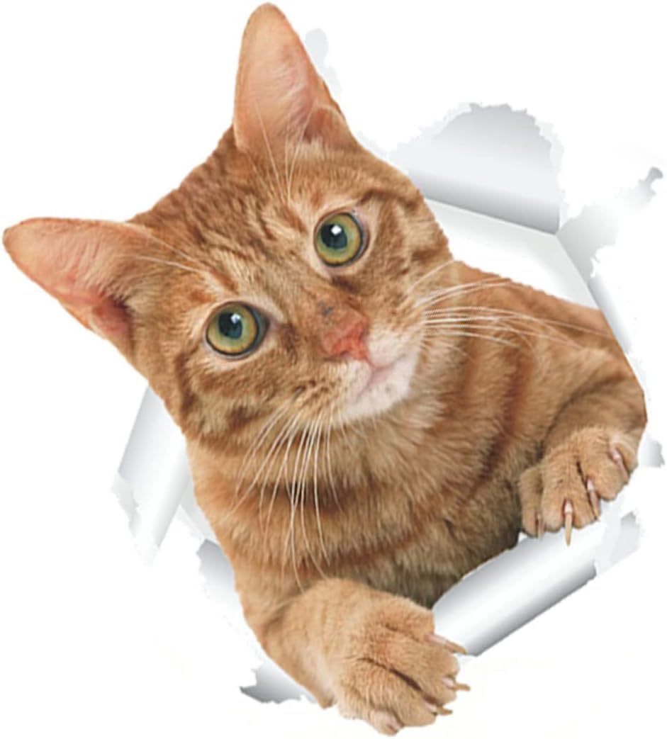 Pegatinas de pared de gatos 3D póster gato oficina decoración de baño baño caja de arena gato calcomanías de pared y murales niñas animales soporte de papel higiénico pegatinas pegatinas