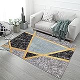 RUGMRZ alfombras de Comedor Sala de Estar Dormitorio Red Sala de Estar Alfombra Perro Gris Alfombras Antiacaros Alfombra Cocina Alfombra Fina alfombras para dormitorio80x120CM