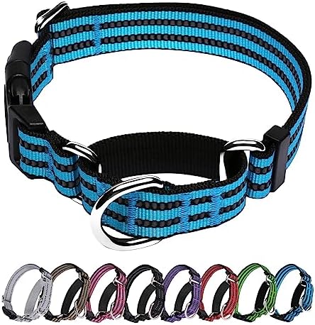 JOYEEIIOO Martingale Dog Collar, Adjustable Nylon Reflective Collar with Quick Release Buckle. Tightens When Dog Pull, Prevents Slipping Out-Helps with Strong pullers-Increase Control-Blue M