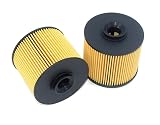 Fuel Filter EF-13021 EF13021 for Sakura