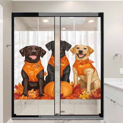 Película Vinílica Decorativa para Ventanas 17.7 x 23.6 pulg 2 Pzas miniatura 6