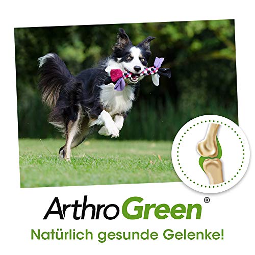 ArthroGreen Gelenkfit 70g | Natürlich gesunde Gelenke für Hunde, Katzen und Pferde