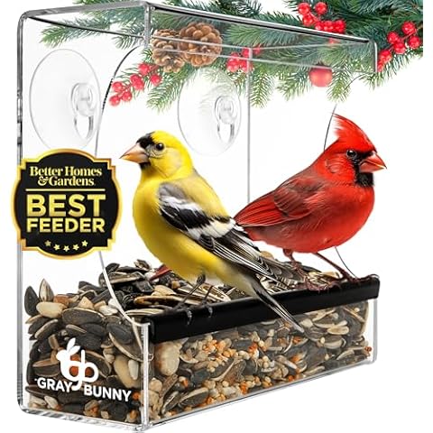 Gray Bunny Clear Window Bird Feeder - Window Bird Feeders for Outside, Window Bird Feeders for Viewing with Strong Suction Cup, Transparent Bird Feeder for Window, Bird House Gifts for Mom, Dad Cover